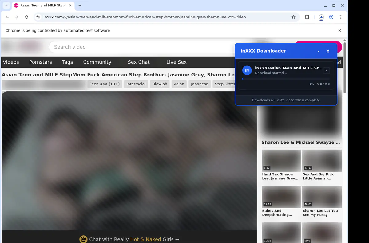 Inxxx Video Downloader browser extension screenshot 2